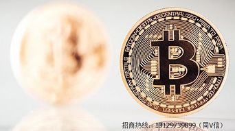 巴蜀三域商品数字货币